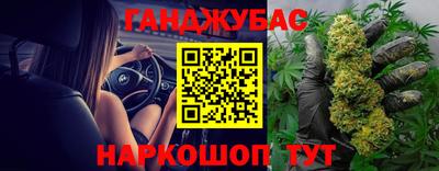прущие грибы Будённовск