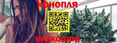 прущие грибы Будённовск