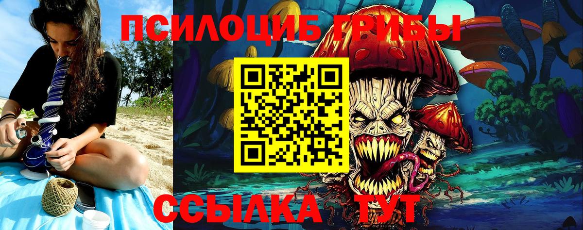 Новомосковск  Галлюциногенные грибы ЛСД  закладки  Вход с VPN 