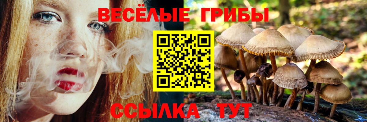 Псилоцибиновые грибы MAGIC MUSHROOMS Новомосковск