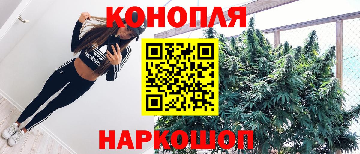 Бошки Шишки White Widow Новомосковск